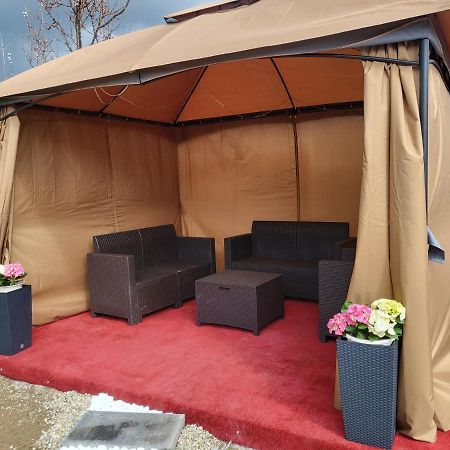Vila Ana Cu Terasa Gratar Si Jacuzzi Villa Satu Mare Eksteriør billede