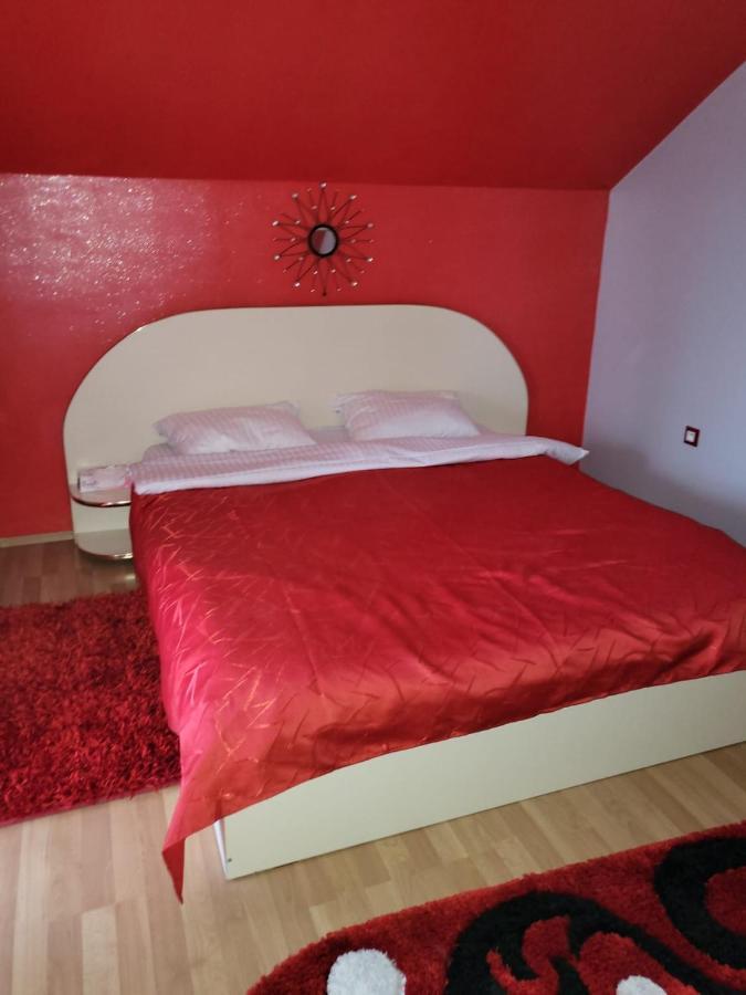 Vila Ana Cu Terasa Gratar Si Jacuzzi Villa Satu Mare Eksteriør billede