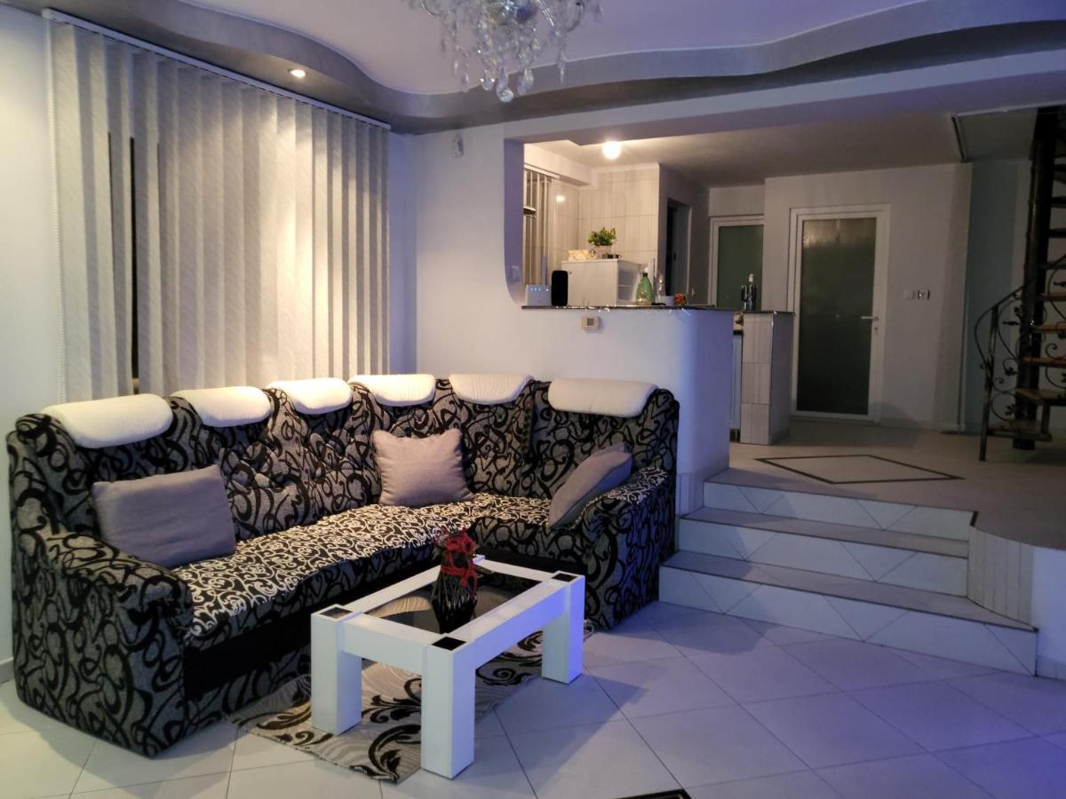 Vila Ana Cu Terasa Gratar Si Jacuzzi Villa Satu Mare Eksteriør billede