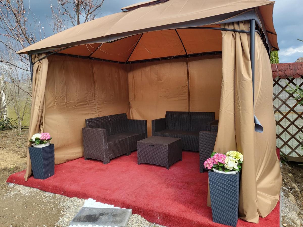 Vila Ana Cu Terasa Gratar Si Jacuzzi Villa Satu Mare Eksteriør billede